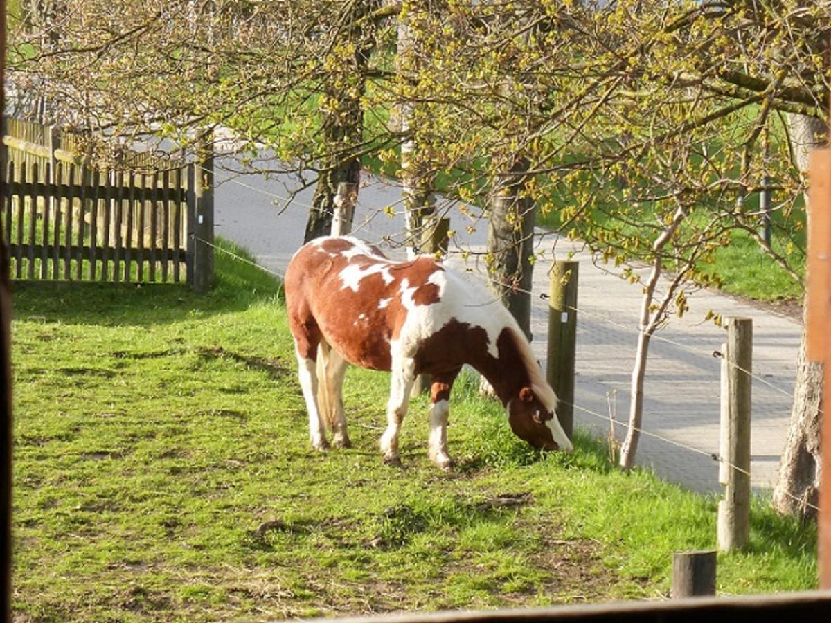 Ferienhof Wolfrum Berg  Luaran gambar
